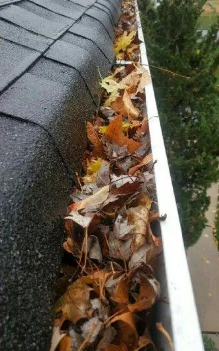 Before Gutter cleaning – iLovah Cleaning Services Toowoomba